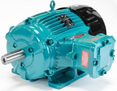 LF254TD Motor, Brook Crompton