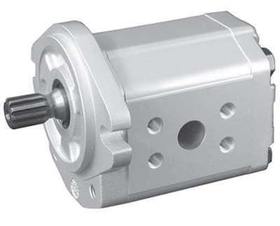 SNP2/11 S C001 1/3K Rotary Pump, Sauer Danfoss, مضخة دوارة, pam putar, роторный насос