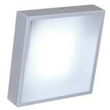 UNSS-04A Emergency Light, non Ex, Illuminex, ضوء الطوارئ, lampu kecemasan, аварийное освещение