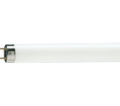 TL-D 36W/54-765 1SL/25 Fluorescent Lamp, Philips, 36W, 2500lm, G13 base, CCT6200K cool white, diameter Ø28 x L1199.4mm, 28621540, 871150028621540, superseded by TL-D Super 80 36W/865 1SL/25 (63207440), F36T8-86-PH, مصباح الفلورسنت, флюоресцентная лампа, catalogo data sheet